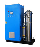 Ozone Generator Water Treatment (SY-G100g)