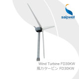 Saipwell Permanent Magnet Wind Power Energy Manufacturer (FD30KW)