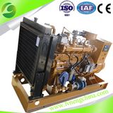 CE and ISO Approved Natural Gas Power Generator