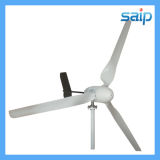 Newest 1kw Wind Energy Generator Horizontal Wind Turbine (EW1000)