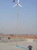 Horizontal Wind Generator (GLT-1000W)