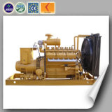 Lvhuan China to Russia Biomass Gasification Power Plant Syngas Power Generator Set 250 Kw