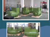 Faraday Wuxi AC Diesel Generators Alternator Synchronous Alternator/600V 50Hz 2250kVA Generator! ! !