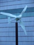 Wind Turbine (450W)