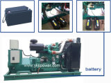 Diesel Generator Accessory High Quality Battery