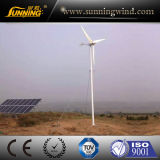 1600W Residential Wind Power Generator System (SKY 1600W)