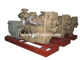 30kVA~1030kVA Us Cummins Diesel Engine Marine Generators