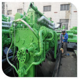 New 500kw Rubbish/ Wood Chips Biomass Gasifier Generator Set Power Plant for All Over The World