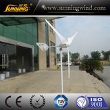 1000W Low Noise Residential Wind Power Generator Price (SN-1000W)