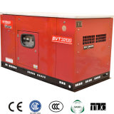 Stable China AC Petrol Generator (BVT3200/T3)