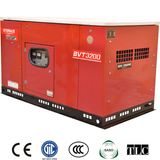 Stable China AC Petrol Generator (BVT3200/T3)