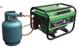 Liquefy Petroleum Gas Generator Set (DF-2500G/DF-2500EG)