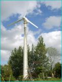 Grid Connected Wind Turbine (20KW)