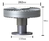 300W 250r Maglev Generator (100W-10KW)