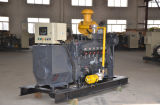 CE Approved 80kw Natural Gas/Biogas Generator (80GFT)