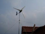 Wind Driven Generator (1kw)