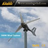 Low Price Permanent Magnet Wind Turbine for Boat