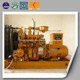 Animal Dung Power Electric Biogas Generator 10kw