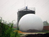 AMA Biogas Holder---Volume From 50 to 10000m3