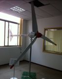 1000W Wind Generator