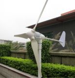 800W 1000W 1kw 2000W 1kw Wind Power Turbine Generator Home Use Windmill DC48V