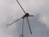 Wind Generator (1000W)