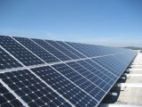 195w Mono Solar Panels