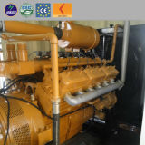 CE Approved 1MW Biomass Gasification Power Plant