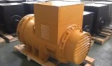 Faraday AC Alternator Generator with Pmg Wuxi Factory