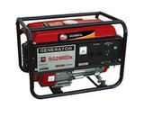 Gasoline Generator (SG2900Dx)