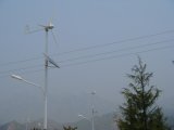 Windmill Generator (300w)