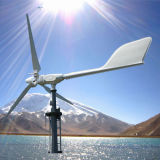 China Small Scale Variable Pitch Wind Turbine for Home Use