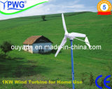 1kw Wind Generator with CE (FD3.0-1000)