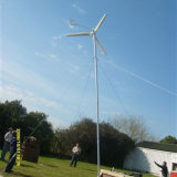 Low Noise Wind Generators 1000W for Household