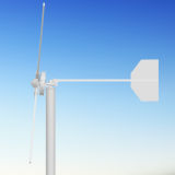 Wind Turbine Generator with CE Certificate and Patent 7000W