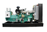 Permanent Magnet Generators with Diesel Engines with Price
