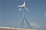 1kw Horizontal Axis Wind Turbine (FD3.2-1.0/9) With DC56V Rated Voltage