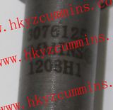 Chongqing Cummins 3076125 Barrel & Plunger Kta19 Kta38 Kta50