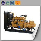 Power Plant Type100kw Biomass Generator with CE and ISO Certificate