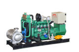 CE Approved 20kw Natural Gas/Biogas Generator (20GFT)