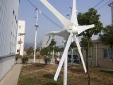 600W CE Approval Wind Solar Generator (100W-20KW)
