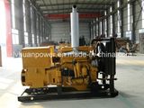 Lvhuan Hot Seller! 50 Kw Renewable Energy High Efficiency Biomass Gas Generator Set