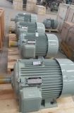 60kw-80kw Permanent Magnet Generator Alternator (1500rpm, 1800rpm)