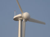 Marine Wind Generator Turbine