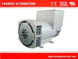 Customized Permanent Magnet 3000rpm Alternator Made in Wuxi