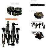 Spare Parts for Diesel Engine