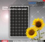 Photovoltaic Solar Panel 5W-250W