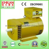 12kw Stc Best Price Series Alternator