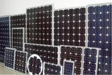 10w Mono Solar Panel (TST10-18M)