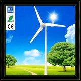 Wind Generator 1kw, Home Use Wind Turbine With 3 Years Free Maintainance